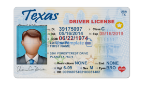 license template download